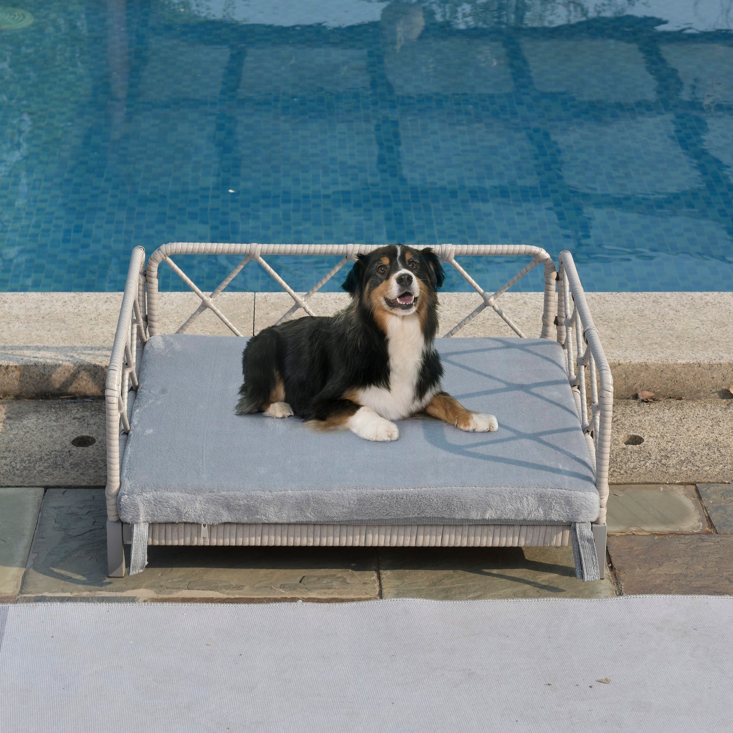 Wicker Dog Bed – Waterproof, Hand-Woven PE Rattan with Soft Cushion & Non-Slip Feet